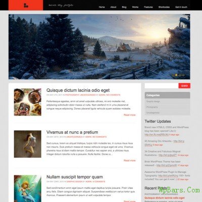 wordpress brisk