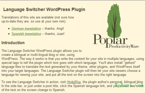 Language Switcher WordPress Plugin