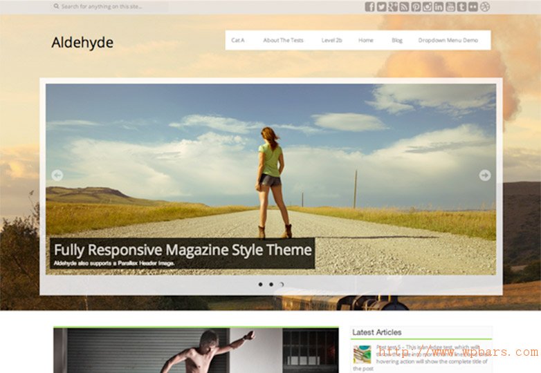 The best free WordPress themes for November 2013