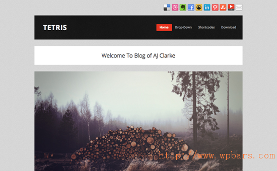 Tetris Free Masonry Tumblog WordPress Theme