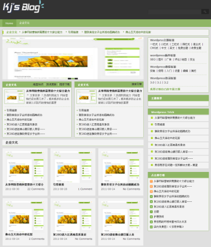 wordpress主题定做