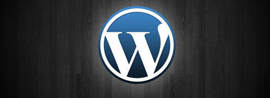 wordpress seo